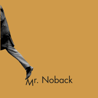 Yo no soy Mr. Noback